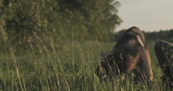 Tonåring Med Hund Naturen Gammal Pojke Klappa Hund Ras Tysk — Stockvideo