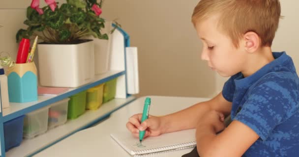 Kind Schrijft Personages Schoolschrift Schooljongen Doet Huiswerk Thuis Met Een — Stockvideo