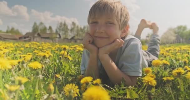 Šťastný Chlapeček Drží Rukou Žlutý Heřmánek Milé Dítě Leží Heřmánkovém — Stock video