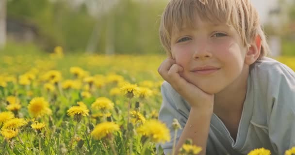 春の牧草地に寝そべっている可愛い白人の少年が見えます 幸せな子供はデイジーフィールド クローズアップビューに位置しています ブロンドの髪の男の子のかわいい笑顔の顔は 牧草地で 幸せと子供時代 スローモーション — ストック動画