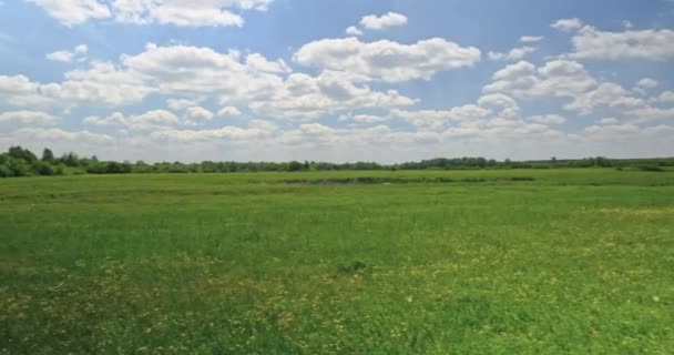 Krásná Krajina Zelenou Trávou Modrou Oblačnou Oblohou Krásná Louka Jarními — Stock video