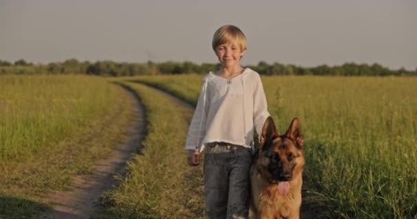 自然の中で犬を持つ少年 犬と歩く7歳の少年はドイツの羊飼いを繁殖させます 犬と一緒に畑で幸せな笑顔の子供 小さな男の子が牧草地でペットと一緒に行っています リアルタイム — ストック動画