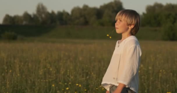 悲伤的孩子夏天在草地上散步 7岁的可爱沉着的男孩在球场上散步 自由概念 一个金发碧眼的男孩在大自然中游手好闲 慢动作 — 图库视频影像