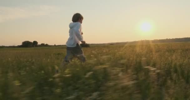 日没の幸せな子供は夏には牧草地で実行している 幸せな7歳の陽気な少年を実行し 振り返って フィールド上で 幸福の概念 春には自然に積極的な笑顔の少年 スローモーション — ストック動画