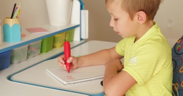 子供は学校のノートに文字を書きます 少年は手書きで家で宿題をしている 子供は手紙を書く 子供は放課後宿題をする リアルタイムだ4K映像 — ストック動画