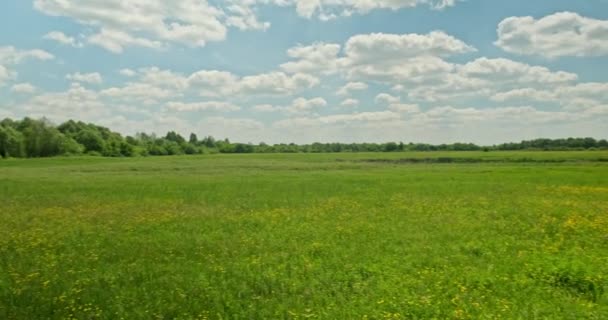 Beautiful Landscape Green Grass Blue Cloudy Sky Beautiful Meadow Spring — Stock Video