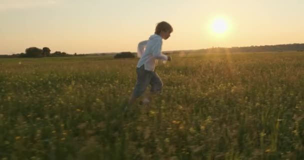 Bambino Felice Che Corre Sul Prato Estate Durante Tramonto Felice — Video Stock