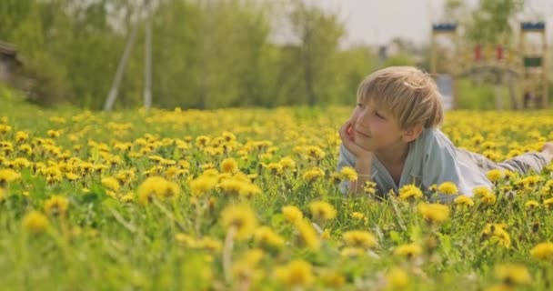 幸せな白人の小さな子供は春の牧草地に横たわっており 離れて見ている 幸せな7歳の男の子のフィールドにデイジーと クローズアップビューに位置しています ブロンドの髪の少年の笑顔 牧草地で スローモーション — ストック動画
