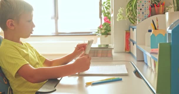 子供は家で本を読む 少年は本を読んでいる 8歳の少年は本を室内で見ている 白人の子供は家で授業をする 子供は放課後宿題をする リアルタイムだ 4K映像 — ストック動画