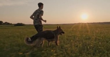Günbatımında genç bir köpek ile doğada koşuyor. 15 yaşında bir çocuk bir Alman çoban köpeğiyle koşuyor. Sahada köpekli bir genç. Beyaz adam çayırda evcil hayvanıyla oynuyor. Gerçek zamanlı.