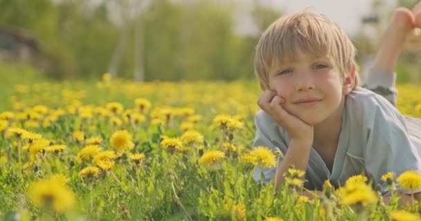 Pretty Caucasian Boy Lying Spring Meadow Looks Happy Child Lies — Stock Video