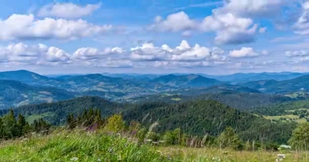 4K映像 美しい山の風景へのトップビュー ウクライナ カルパティア 広い角度のビューを実行して夏の野生の風景の一日の時間の経過 ブコヴェル — ストック動画