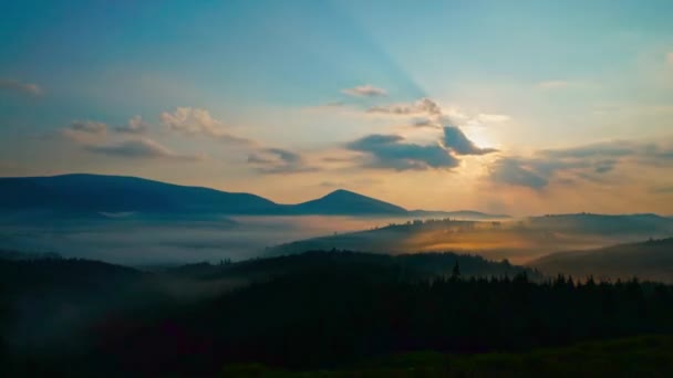 Nebelige Berglandschaft Morgen Ukraine Karpaten Zeitraffer Einer Sommerlichen Wilden Waldlandschaft — Stockvideo