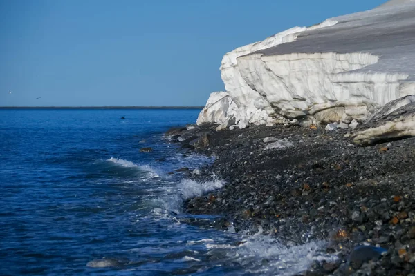 En kustlinje täckt av glaciärer i norra änden av Novaja Zemlyas skärgård. — Stockfoto