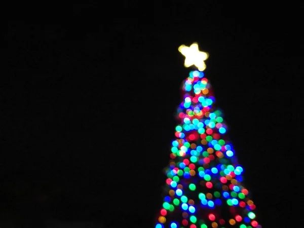 Defocused abstract light Christmas tree shape to celebrate Xmas — Stock Photo, Image