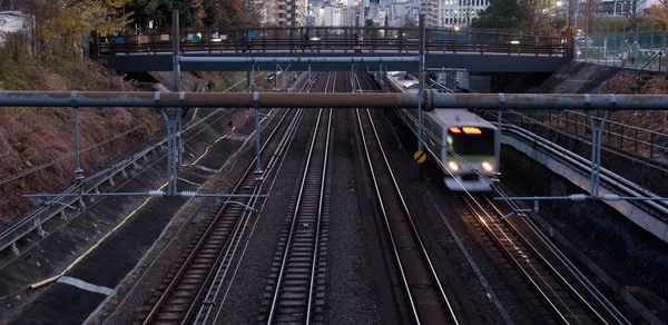 Bewegende locomotief trein en spoor sporen in de avond — Stockfoto