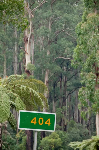 404 grön skylt banner i en djup skog — Stockfoto