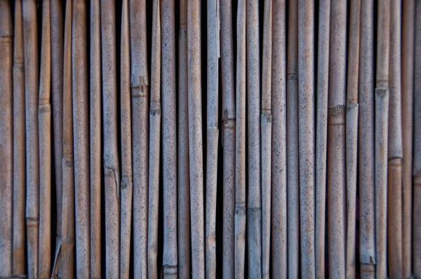 竹管堆叠墙木背景 — 图库照片