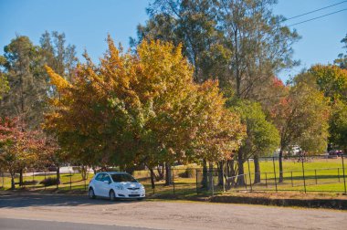 Sydney, Avustralya - 6 Mayıs 2018: Beyaz Toyota Yaris Eko araba park