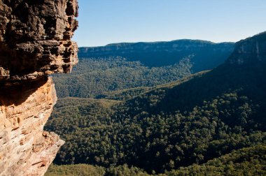 Derin yeşil orman ve uzun dağ tepe Blue Mountain Sydney Nsw Avustralya