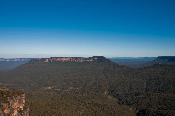 stock image Deep green forest at Blue Mountain in Sydney NSW Australia