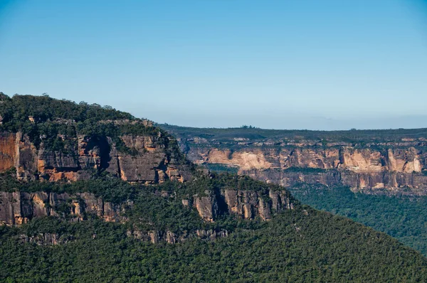 Foresta profonda con alta falesia e raggio di sole nel pomeriggio in Blu — Foto Stock