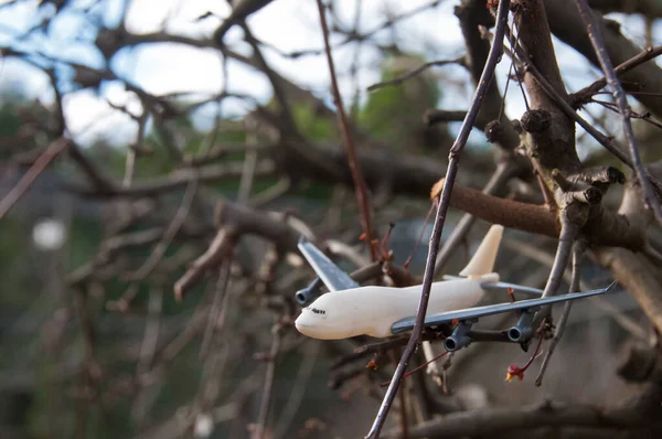 Modell Spielzeugflugzeug Aus Nächster Nähe Wald — Stockfoto