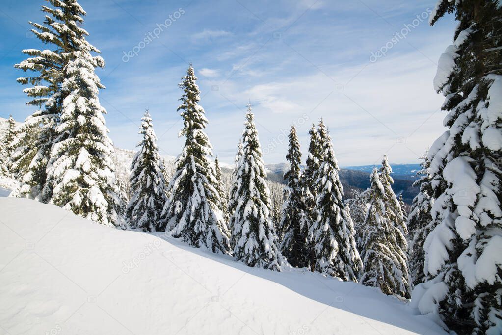 Frozen snow-covered landscape, fairytale winter in Low Tatras, central Slovakia, Europe