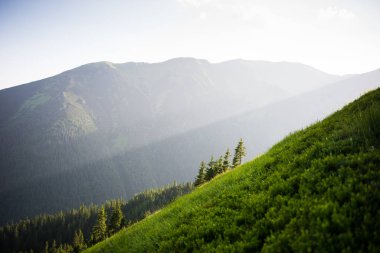 Güneş tepeden parlıyor, güzel bir yaz günü