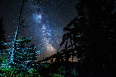 Samanyolu Ormanın Üzerinde, Güzel Gece Gökyüzü Yıldızlarla dolu, Alçak Tatras Ulusal Parkı