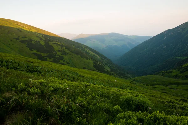 Sonnenuntergang gegen Hügel, schöne grüne Berge — Stockfoto