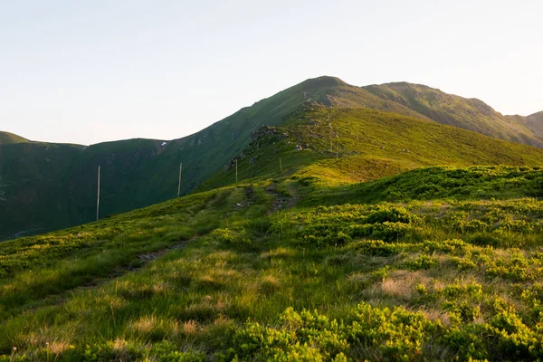 Sonnenuntergang gegen Hügel, schöne grüne Berge — Stockfoto