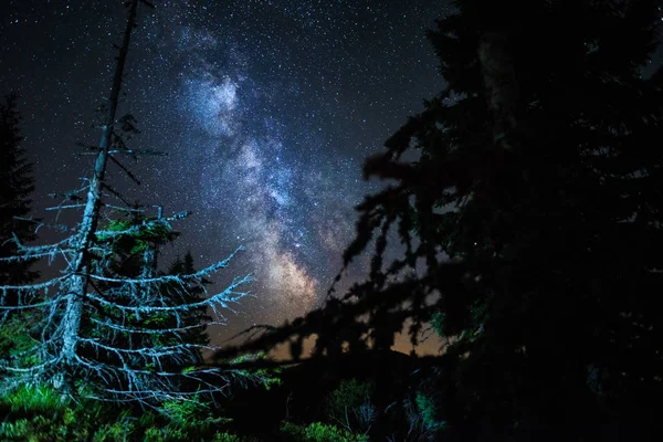 Voie lactée au-dessus de la forêt, beau ciel nocturne plein d'étoiles, parc national des basses Tatras — Photo