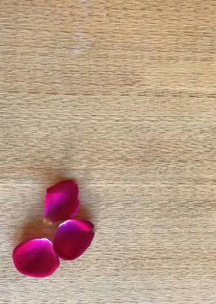 Petali Rosa Uno Sfondo Legno Colore Dell Albero Faggio — Foto Stock