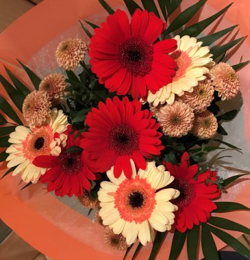 Bir buket çiçek. Gerbera. Arkaplan olarak kullanılabilir.