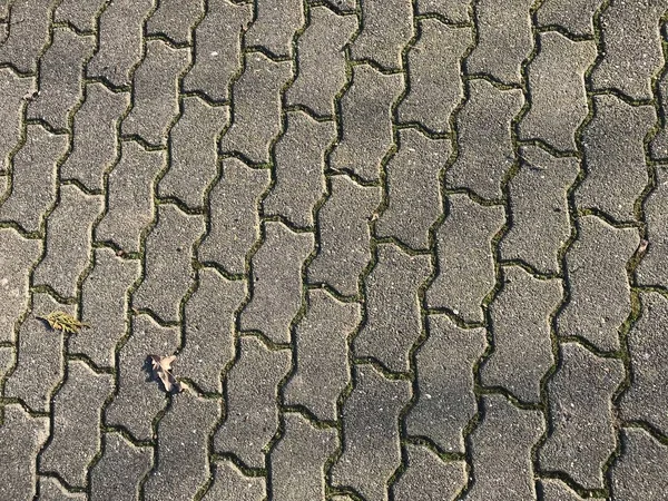 Background, texture. Tiled sidewalk. Moss grows between tiles, as an additional decor.