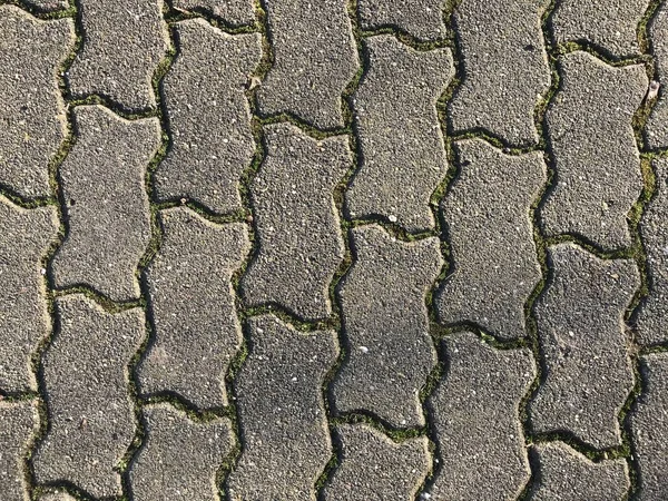 Contexte Texture Trottoir Carrelé Mousse Pousse Entre Les Tuiles Comme — Photo