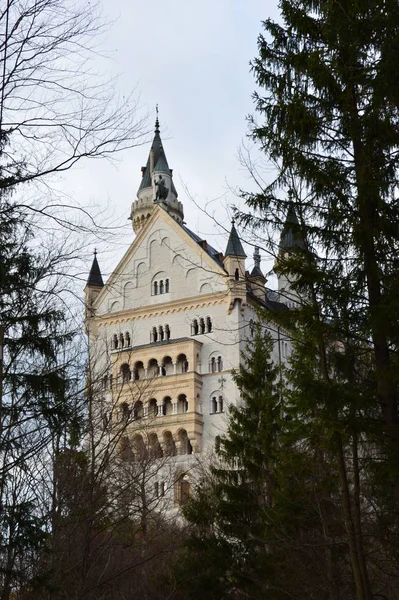 Bavaria Alemania Abril 2017 Romántico Castillo Neuschwanstein Del Rey Bávaro — Foto de Stock