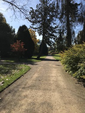 Bad Pyrmont (Almanya) Eylül 2018. Otel parkı.. 