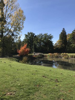 Bad Pyrmont (Almanya) Eylül 2018. Otel parkı..