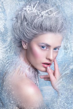 Kar Queen.Fantasy kız portre. Kış peri portre. Genç kadın yaratıcı gümüş sanatsal makyajlı. Kış portresi.