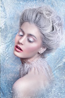 Kar Queen.Fantasy kız portre. Kış peri portre. Genç kadın yaratıcı gümüş sanatsal makyajlı. Kış portresi.
