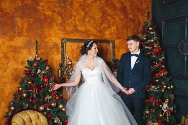 Düğün kış. Sevgili gelin ve damat Noel dekorasyonu. Mutlu gelin ve damat sarılma