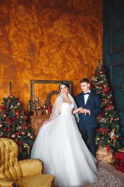 Düğün kış. Sevgili gelin ve damat Noel dekorasyonu. Mutlu gelin ve damat sarılma