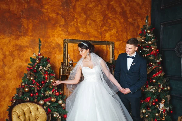 Winter Wedding. Liefhebbers van bruid en bruidegom in Kerstdecoratie. Gelukkige bruid en bruidegom knuffelen — Stockfoto