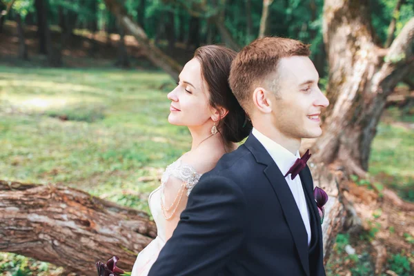 Bellissimi sposi felici seduti su un tronco nel parco. . Bella sposa ed elegante sposo a piedi dopo la cerimonia nuziale . — Foto Stock