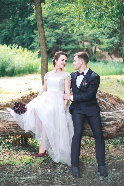 Hermosos novios felices sentados en un tronco en el parque. .. Hermosa novia y novio elegante caminando después de la ceremonia de boda . — Foto de Stock