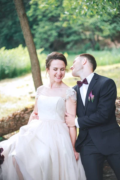 Vackra lyckliga bruden och brudgummen sitter på en logg i parken. . Vackra brudparet eleganta promenader efter vigseln. — Stockfoto