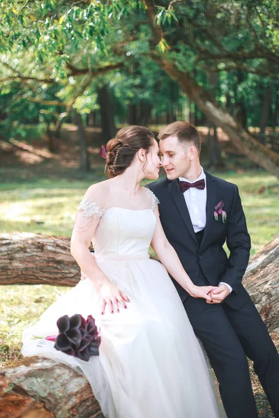Vackra lyckliga bruden och brudgummen sitter på en logg i parken. . Vackra brudparet eleganta promenader efter vigseln. — Stockfoto