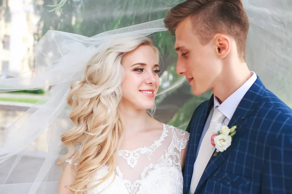 Düğün. Gelin ve damat, bir güzel park düğün günü., romantik evli çift öpüşme .